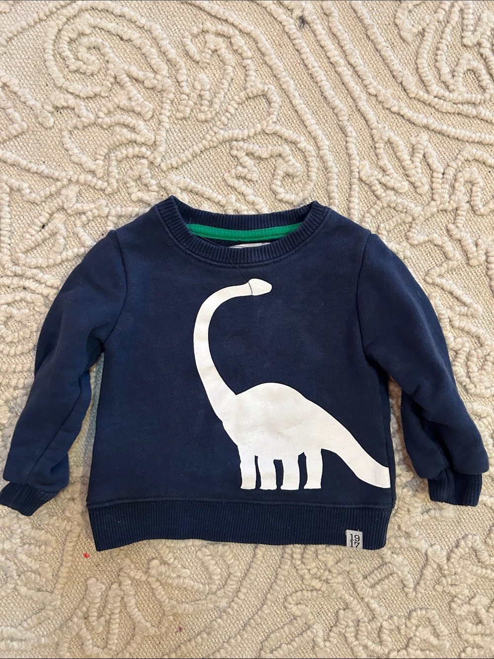 Sovereign Code Navy Blue Kids Dinosaur Sweatshirt 12M